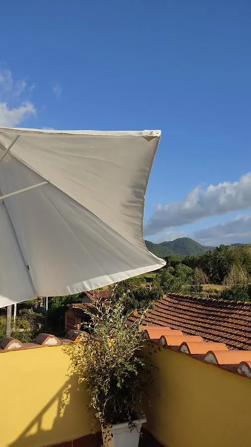 Appartamento La Casa Piu Bella Lucca Apartamento